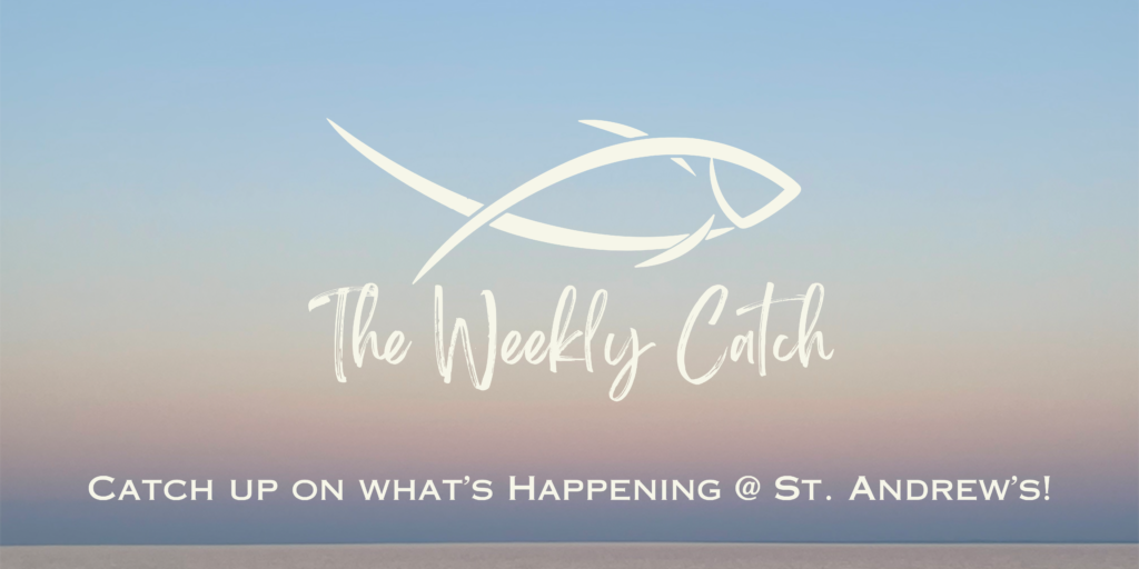 The Weekly Catch