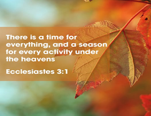 Ecclesiastes theme for the Annual Gathering – There is a time for everything, and a season for every action under the heavens. Ecclesiastes 3:1