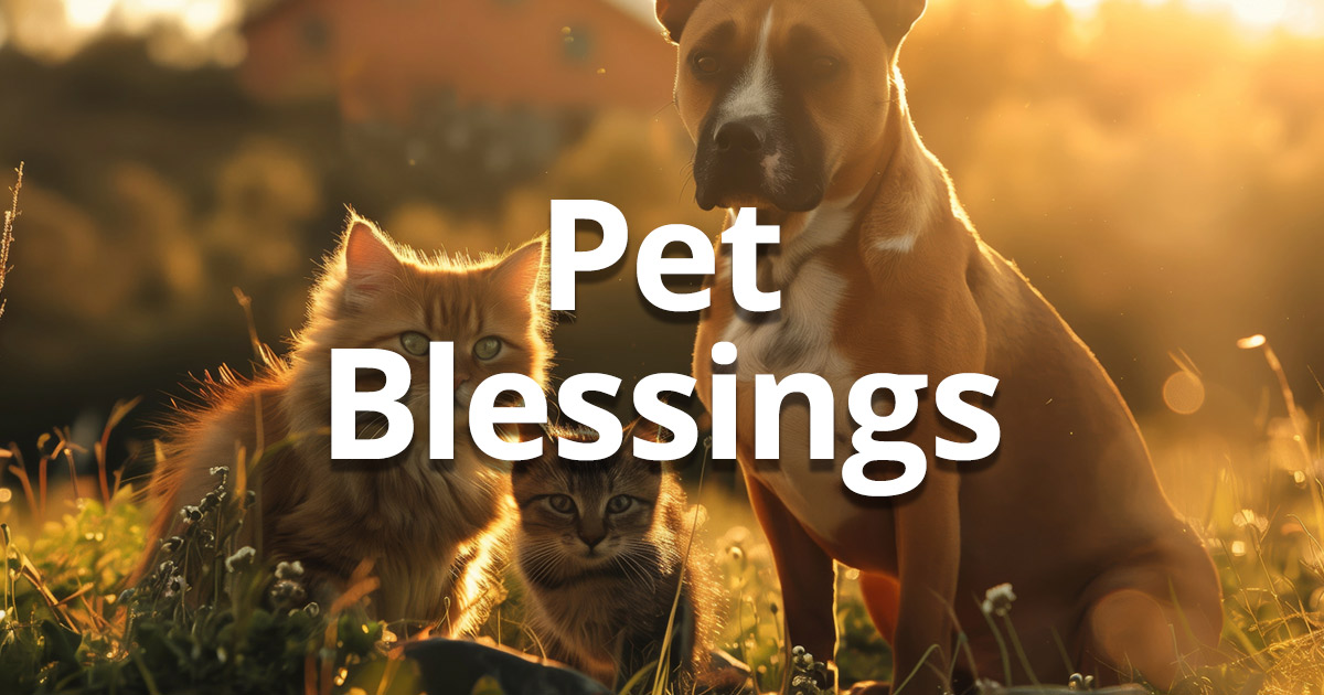 Pet Blessings with photo of cats and a dog.
