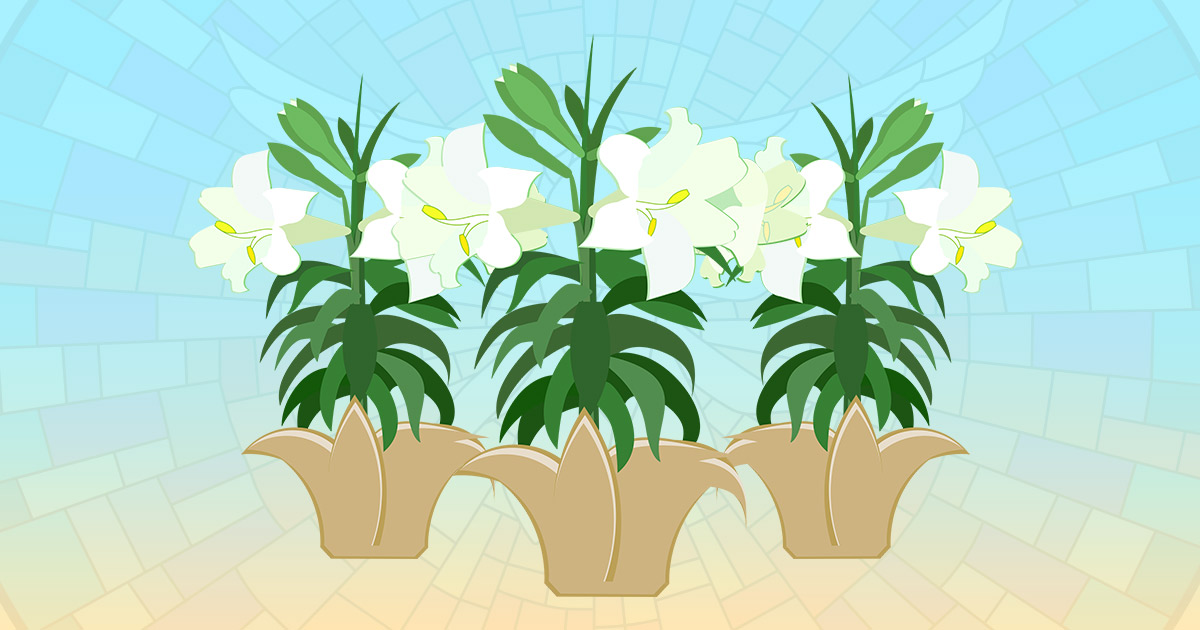 Easter Flower Orders